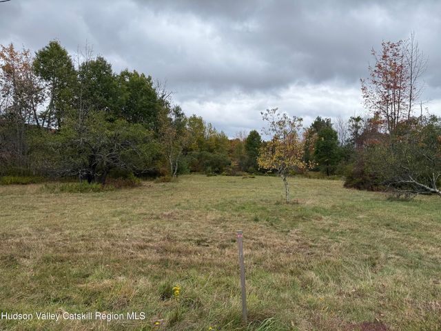 611 Mitchell Hollow Road, Windham, NY 12496