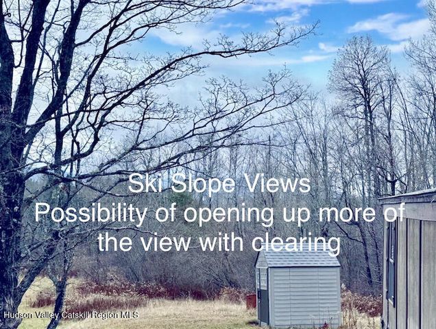 611 Mitchell Hollow Road, Windham, NY 12496