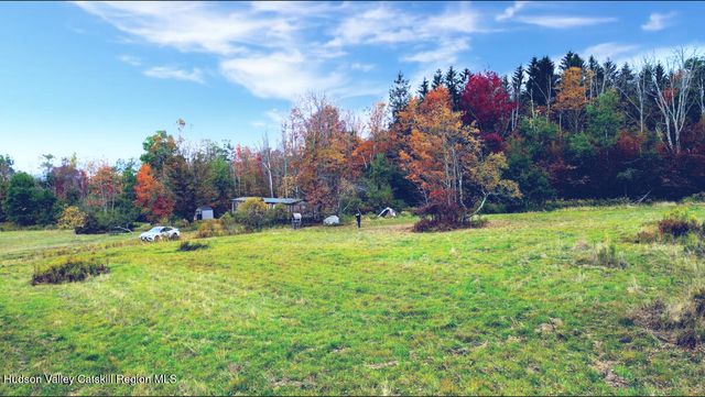 611 Mitchell Hollow Road, Windham, NY 12496