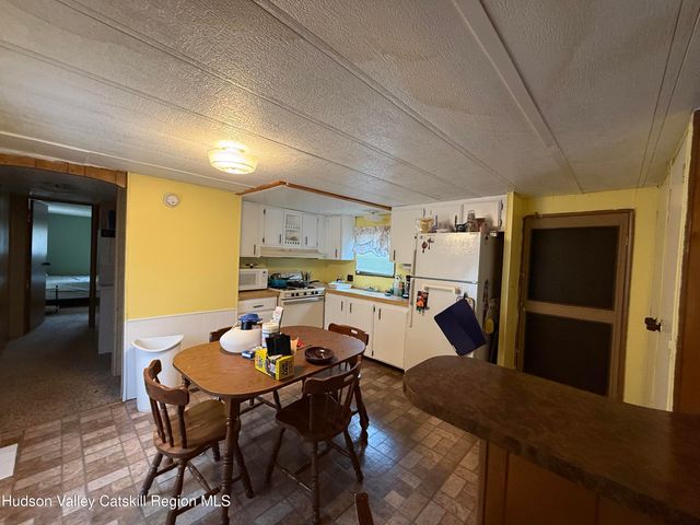 611 Mitchell Hollow Road, Windham, NY 12496