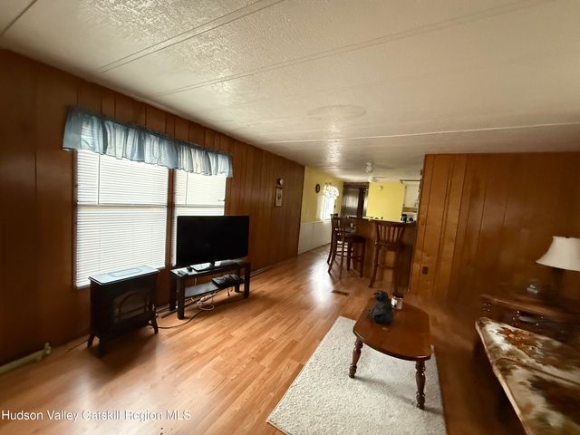 611 Mitchell Hollow Road, Windham, NY 12496