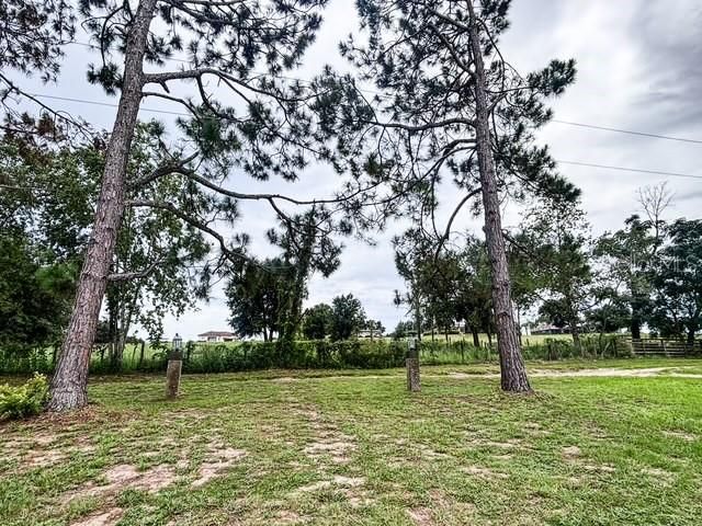 11300 VALLEY VIEW DRIVE, Howey In The Hills, FL 34737