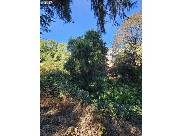 1843 Se MAIN St, Roseburg, OR 97470