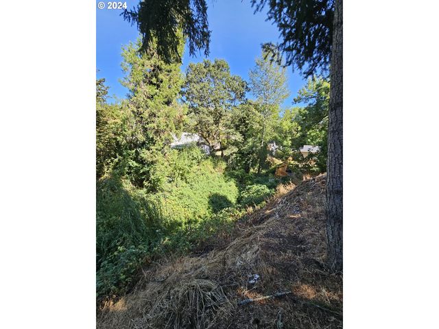 1843 Se MAIN St, Roseburg, OR 97470
