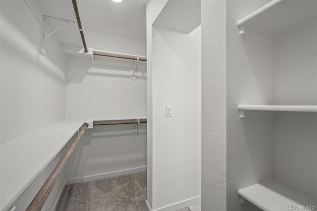 6376 Laud Point, Colorado Springs, CO 80924