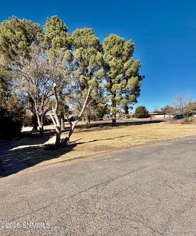 2623 San Andres Dr Drive, Las Cruces, NM 88007