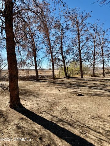 2623 San Andres Dr Drive, Las Cruces, NM 88007