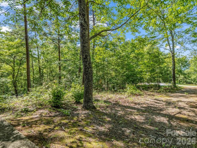 740 Justice Drive, Lake Lure, NC 28746