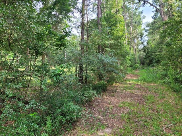 17038 Payne Rd, Conroe, TX 77302