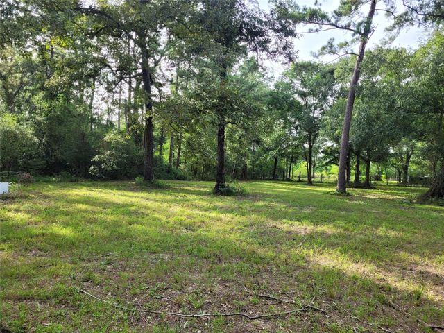 17038 Payne Rd, Conroe, TX 77302