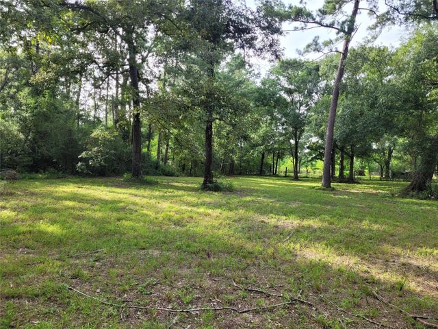 17038 Payne Rd, Conroe, TX 77302