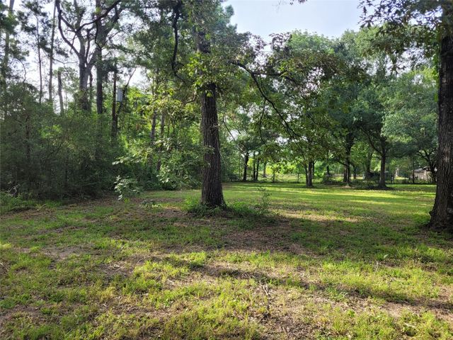 17038 Payne Rd, Conroe, TX 77302