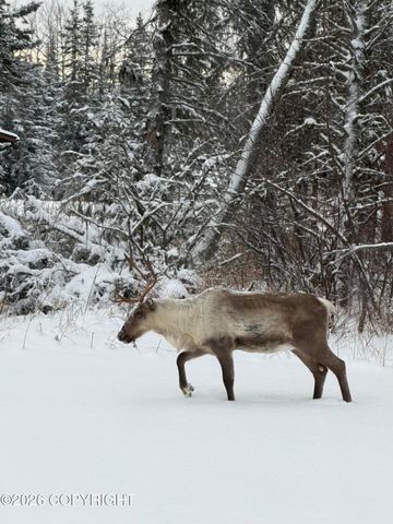 48145 Igloo Avenue, Soldotna, AK 99669