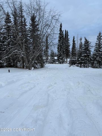 48145 Igloo Avenue, Soldotna, AK 99669