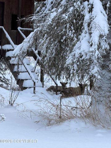 48145 Igloo Avenue, Soldotna, AK 99669