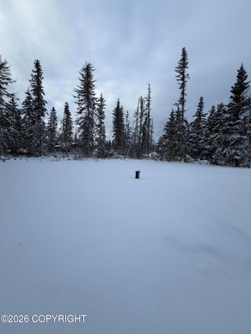 48145 Igloo Avenue, Soldotna, AK 99669