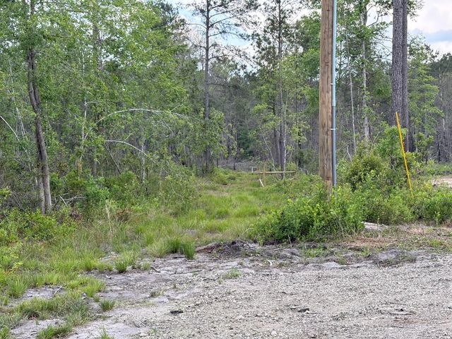130 Zone Way, Cottageville, SC 29435