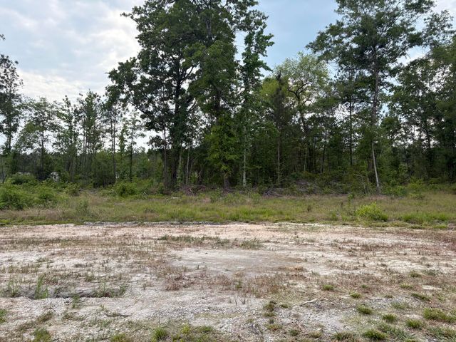 130 Zone Way, Cottageville, SC 29435