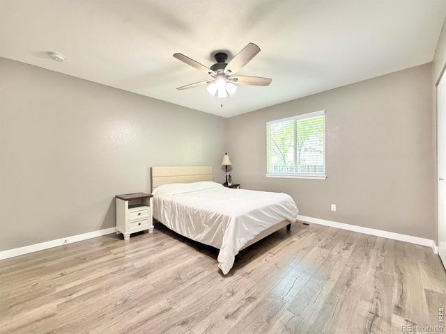 183 Calabria Drive, Windsor, CO 80550