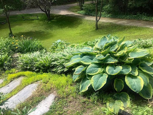 60 Irish Lane, Wallingford, VT 05773