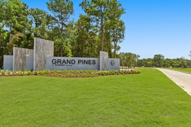 27548 Evergreen Cone Lane, Magnolia, TX 77355