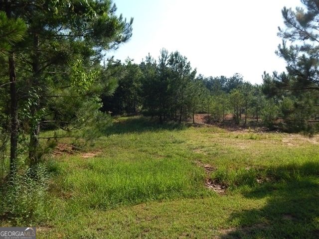 120 Bruce Road LOT 6, Martin, GA 30557