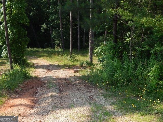 120 Bruce Road LOT 6, Martin, GA 30557