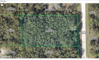 8179 Shellstream Drive, Webster, FL 33597