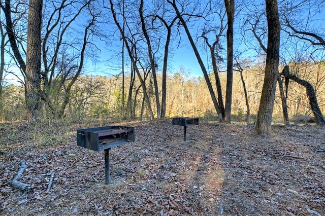 315 River Retreat Road, Blue Ridge, GA 30513