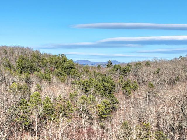 315 River Retreat Road, Blue Ridge, GA 30513