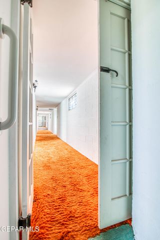 6540 MCNUTT Road, Anthony, NM 88021