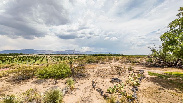 6540 MCNUTT Road, Anthony, NM 88021