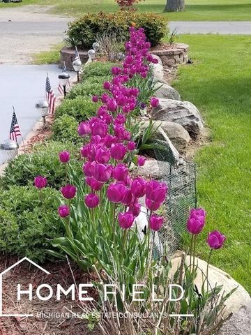 905 E Exchange Street, Owosso, MI 48867