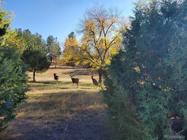 9116 Warriors Mark Drive, Franktown, CO 80116