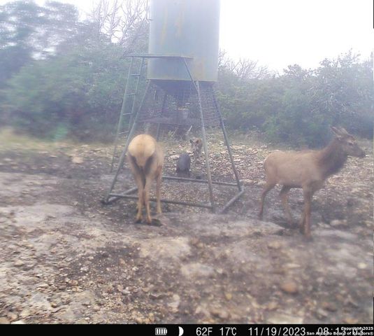 104 SD 14070, Rocksprings, TX 78880