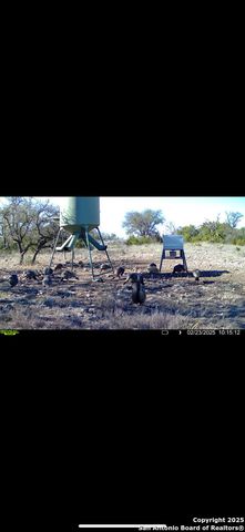 104 SD 14070, Rocksprings, TX 78880