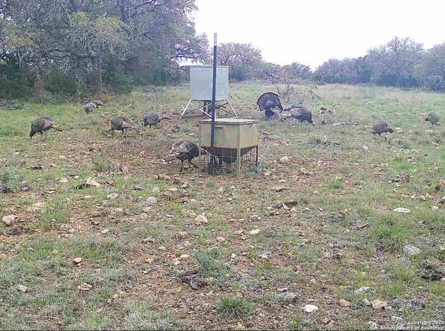 104 SD 14070, Rocksprings, TX 78880