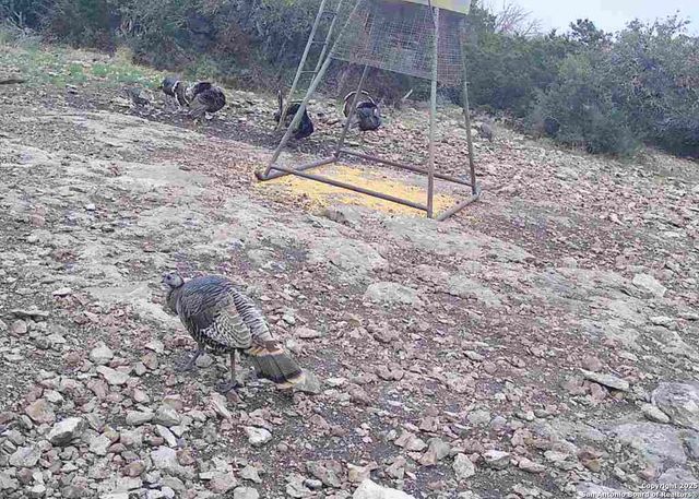 104 SD 14070, Rocksprings, TX 78880