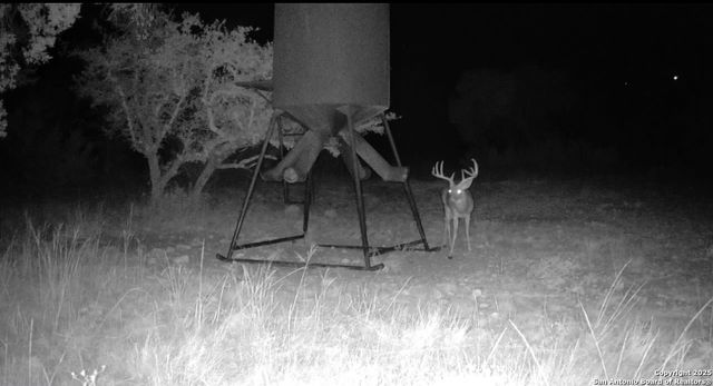 104 SD 14070, Rocksprings, TX 78880