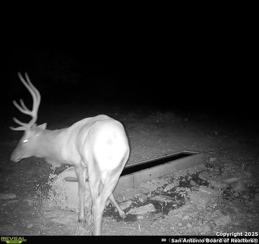 104 SD 14070, Rocksprings, TX 78880