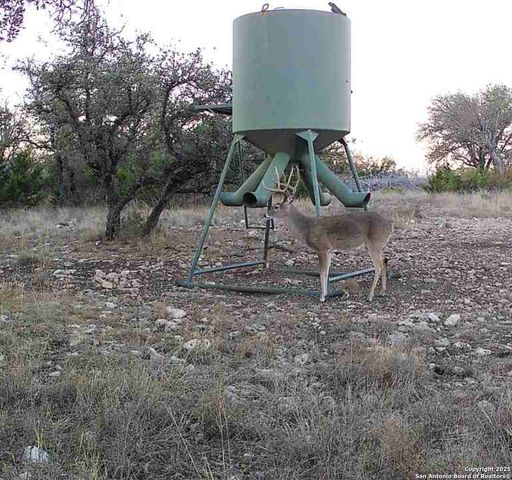 104 SD 14070, Rocksprings, TX 78880