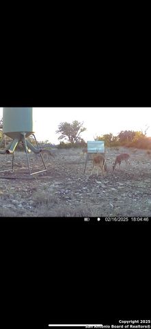 104 SD 14070, Rocksprings, TX 78880