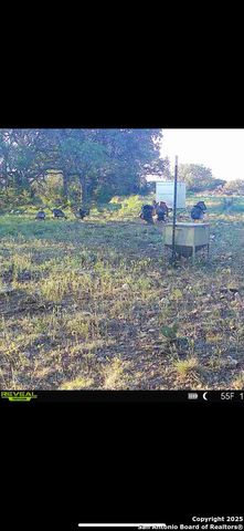 104 SD 14070, Rocksprings, TX 78880