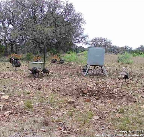 104 SD 14070, Rocksprings, TX 78880