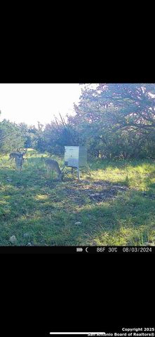 104 SD 14070, Rocksprings, TX 78880