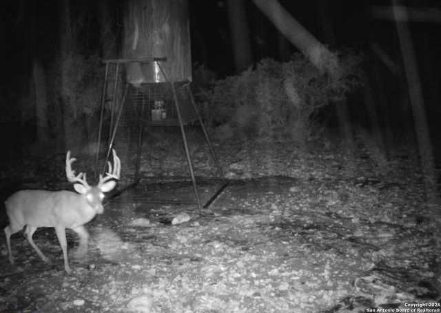 104 SD 14070, Rocksprings, TX 78880