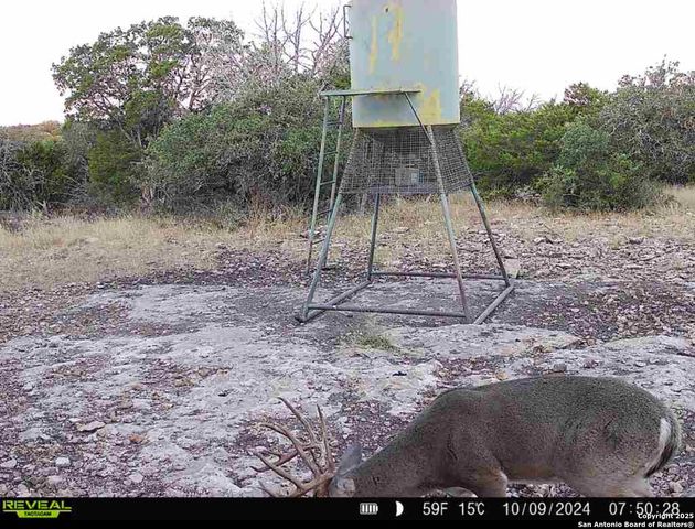 104 SD 14070, Rocksprings, TX 78880