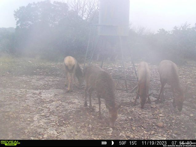 104 SD 14070, Rocksprings, TX 78880