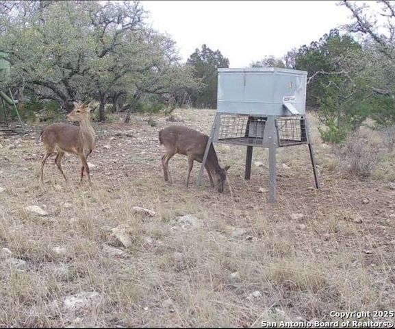 104 SD 14070, Rocksprings, TX 78880