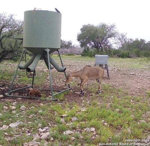 104 SD 14070, Rocksprings, TX 78880